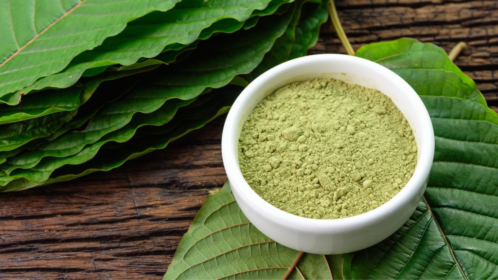 gambar whatsapp 2025 10 01 pukul 09.00.42 ffe7f0e3