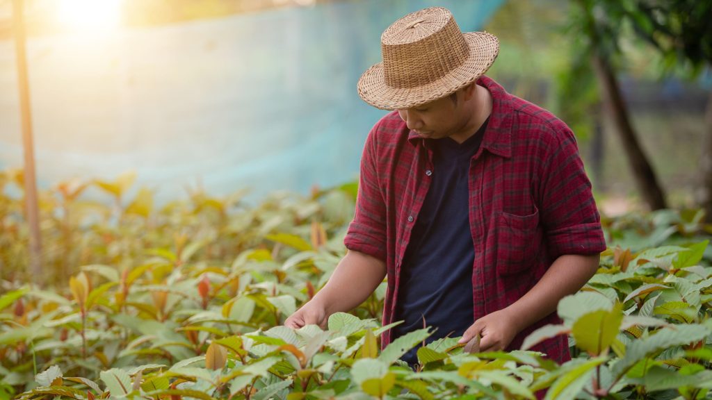 gambar whatsapp 2025 10 01 pukul 09.00.46 5437570a