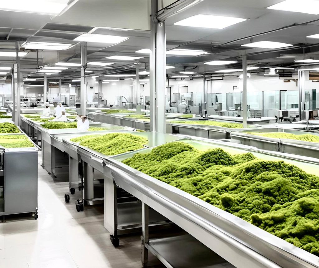 gambar whatsapp 2025 10 02 pukul 15.14.21 12f63c0c